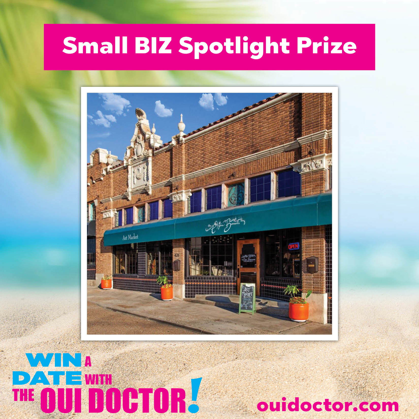 Featured image for “Gift basket – Bundle from The Agora Borealis”