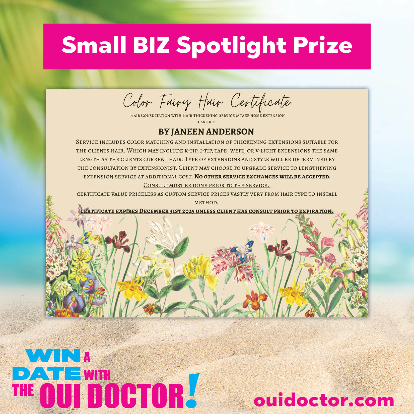 Featured image for “Hair thickening consultation + Installation up to 2 bundles from the Color Fairy Salon. Donated by Janeen Anderson. Value $800”